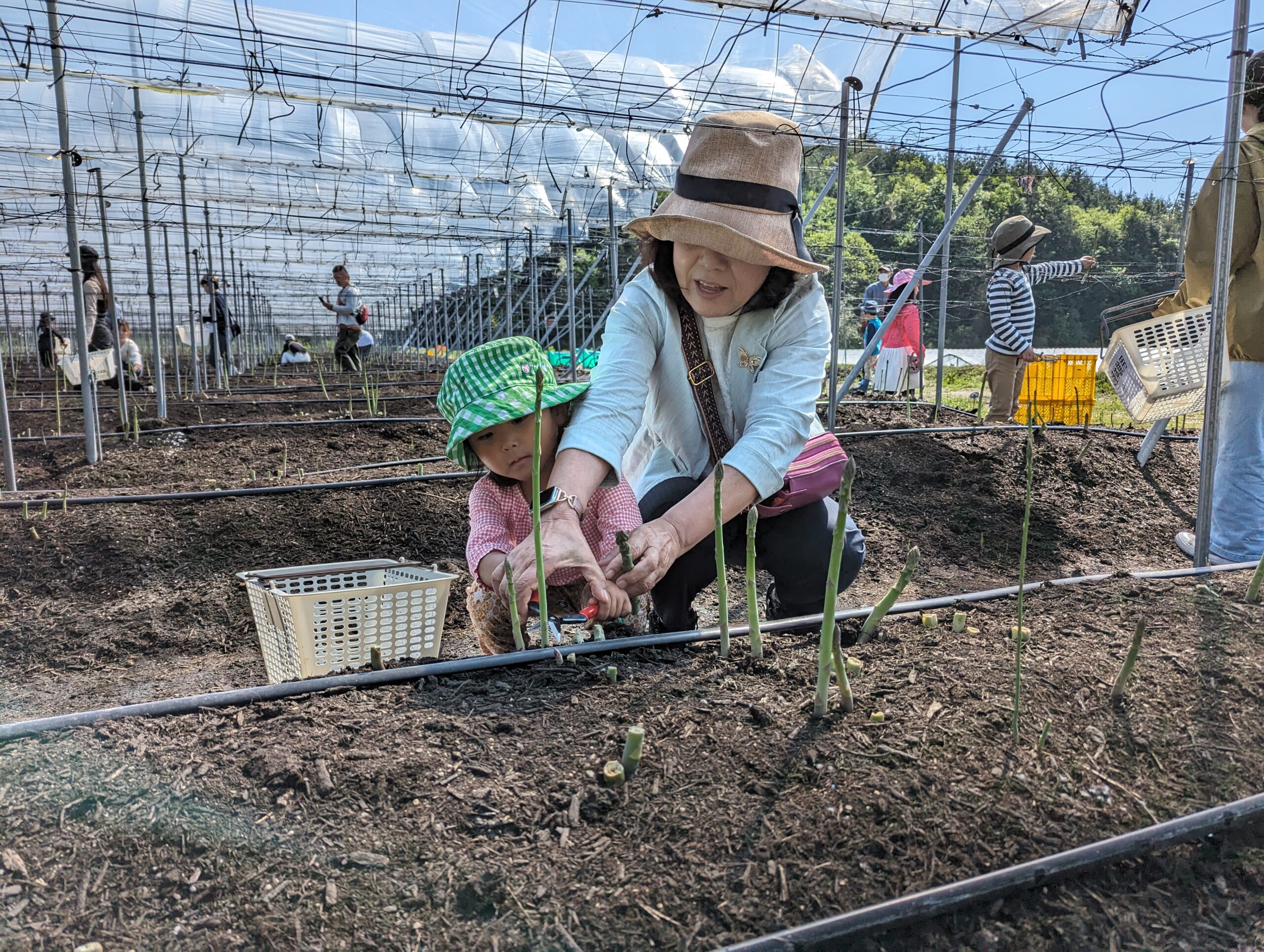 小さなお子様は、大人の方とご一緒にどうぞ