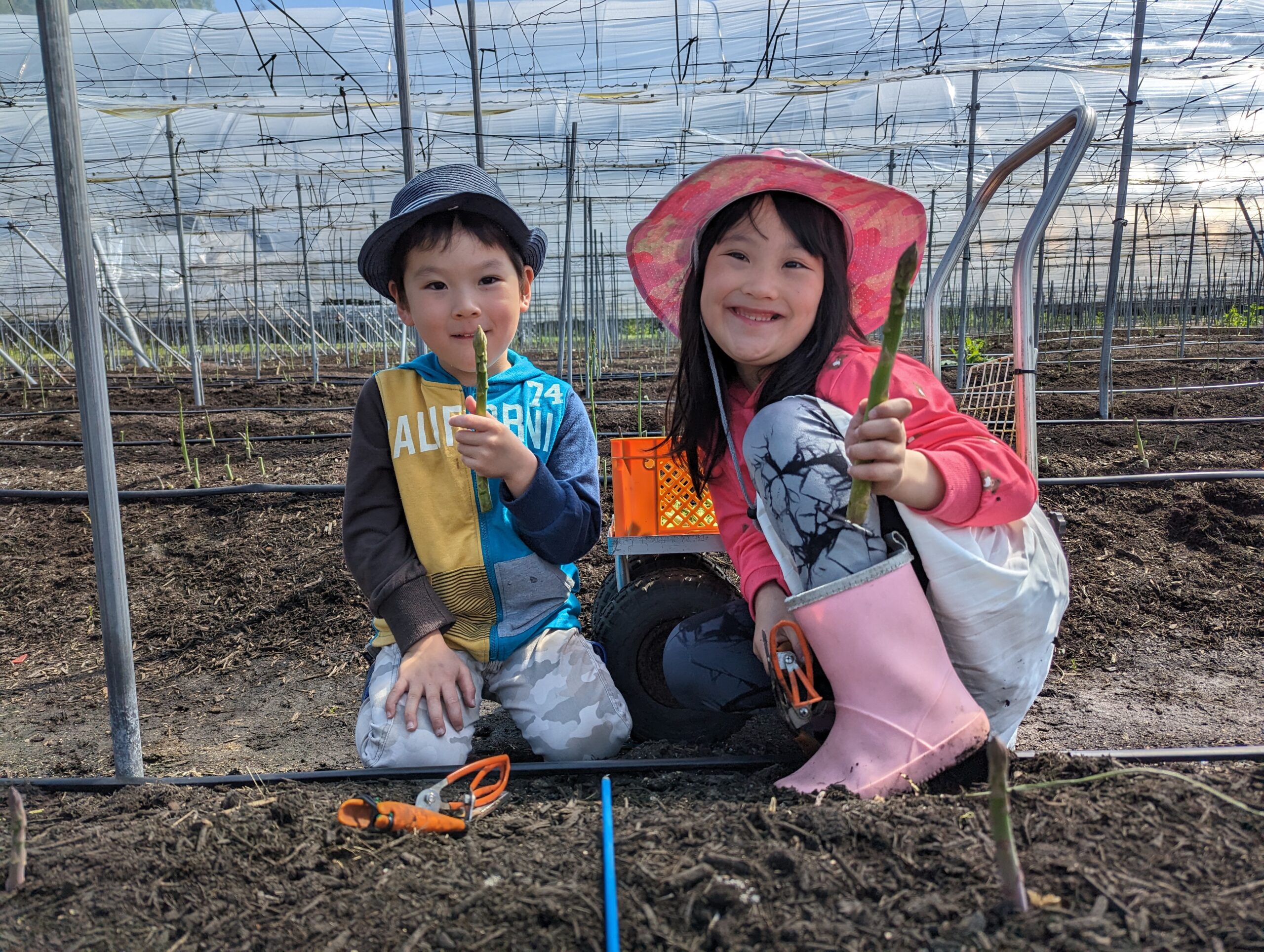 にっこりえがお